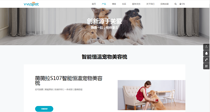 薇薇拉網(wǎng)站建設